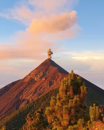 América
