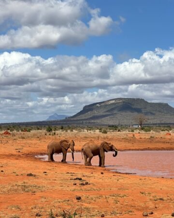 África